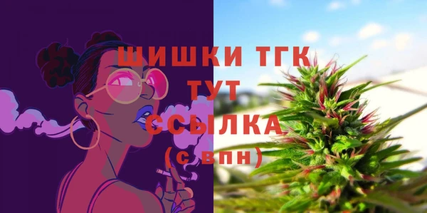 ГАЛЛЮЦИНОГЕННЫЕ ГРИБЫ Няндома