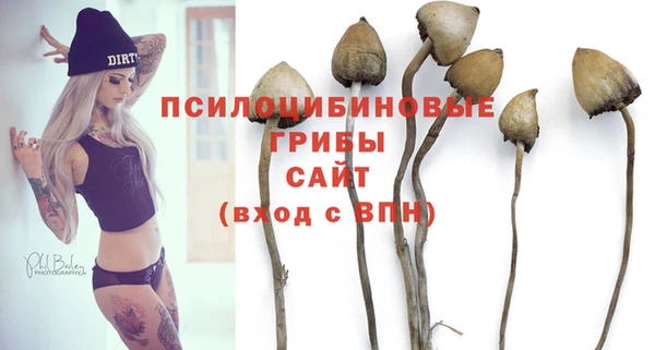 ГАЛЛЮЦИНОГЕННЫЕ ГРИБЫ Няндома