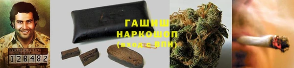 ГАЛЛЮЦИНОГЕННЫЕ ГРИБЫ Няндома