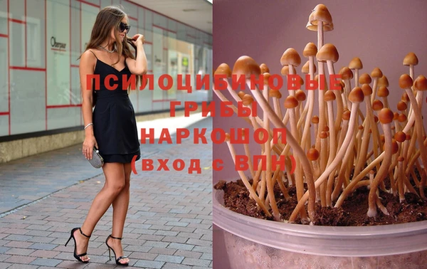 прущая мука Нязепетровск