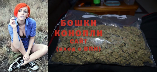 ГАЛЛЮЦИНОГЕННЫЕ ГРИБЫ Няндома