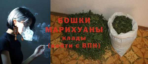 ГАЛЛЮЦИНОГЕННЫЕ ГРИБЫ Няндома